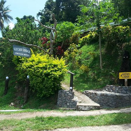 Gecko Lodge Fiji Savusavu Eksteriør billede