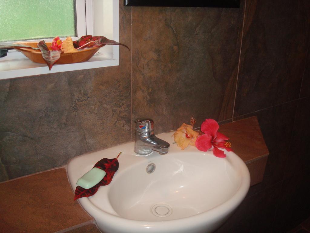 Gecko Lodge Fiji Savusavu Værelse billede