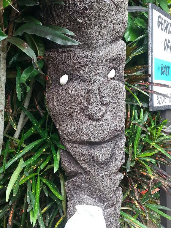 Gecko Lodge Fiji Savusavu Eksteriør billede