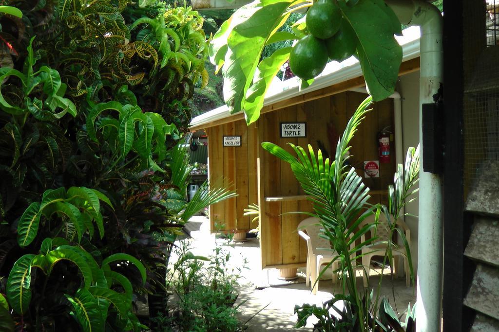 Gecko Lodge Fiji Savusavu Eksteriør billede