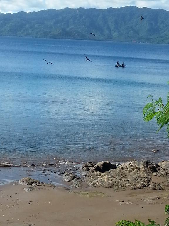 Gecko Lodge Fiji Savusavu Eksteriør billede