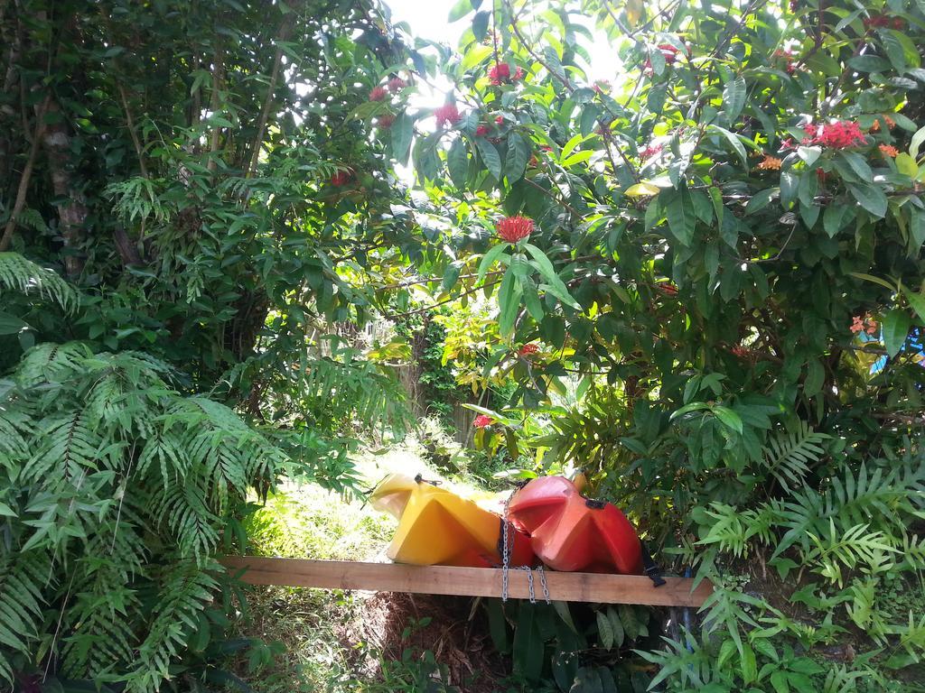 Gecko Lodge Fiji Savusavu Eksteriør billede