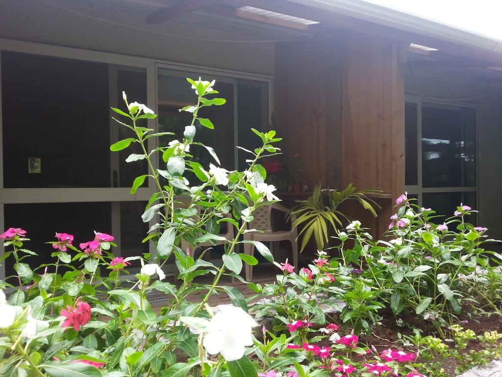 Gecko Lodge Fiji Savusavu Eksteriør billede