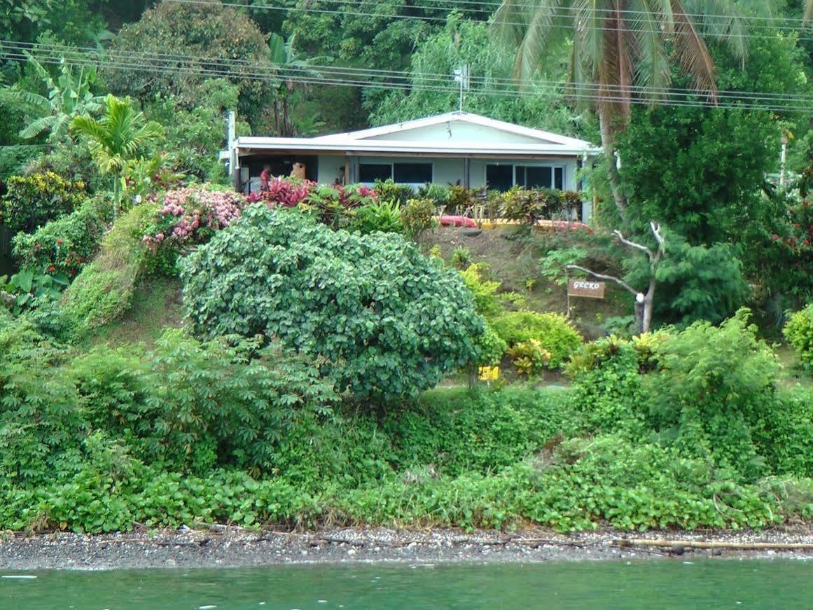 Gecko Lodge Fiji Savusavu Eksteriør billede